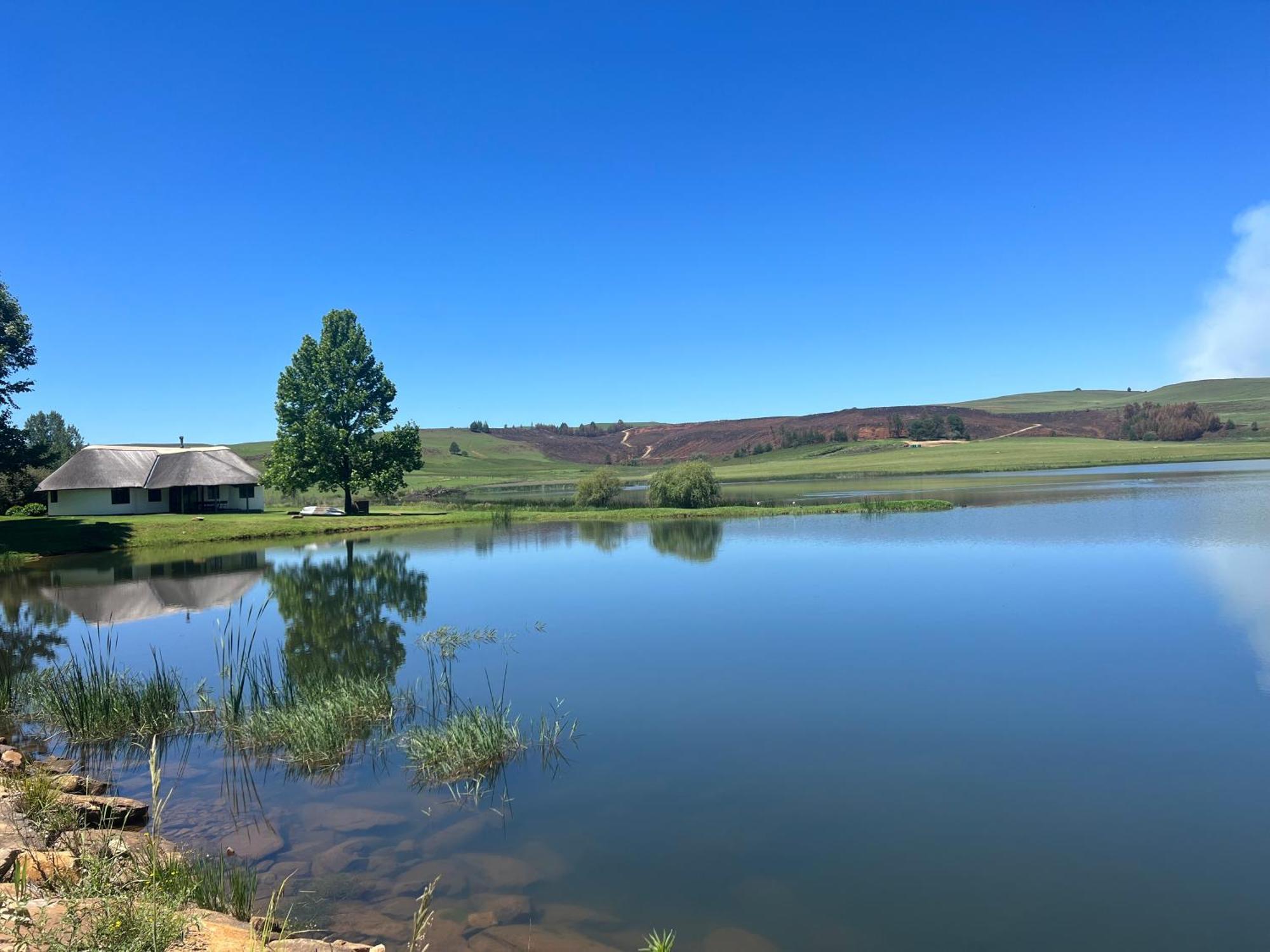 Dieu Donne Cottage Underberg Exteriér fotografie